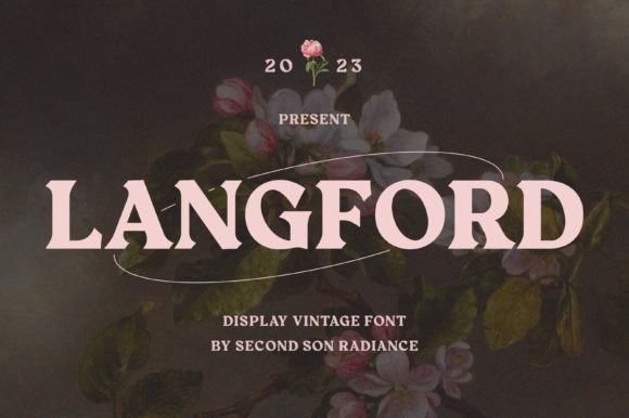 Langford: The Bold Display Typeface That Cuts Through the Feed