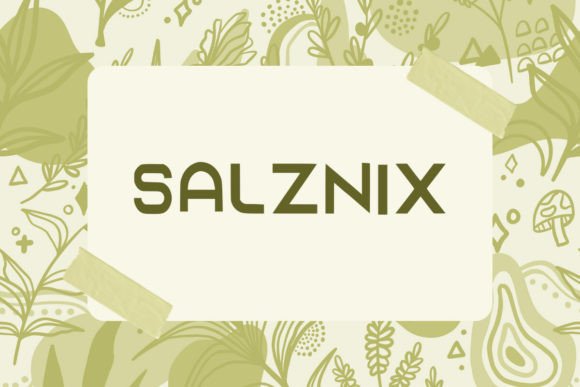 Salzaix: The Quirky Display Typeface for Vibrant Web Design
